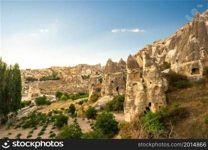 Wineyard among conical cliffs in Cappadocia, Turkey. Wineyard in Cappadocia