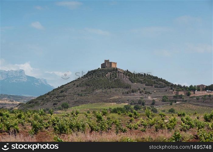 Wineyard landscape and Davalillo castle in the background, in La Rioja, Spain.