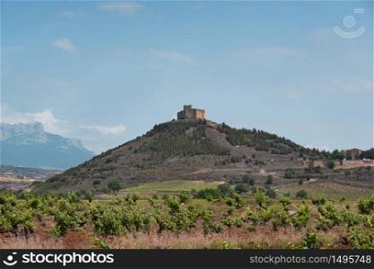Wineyard landscape and Davalillo castle in the background, in La Rioja, Spain.