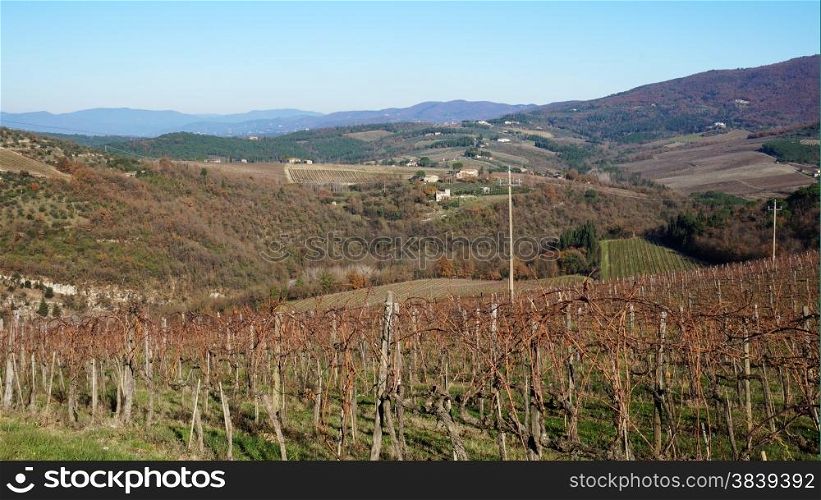 Wineyard located in Siena, Italy in the winter&#x9;