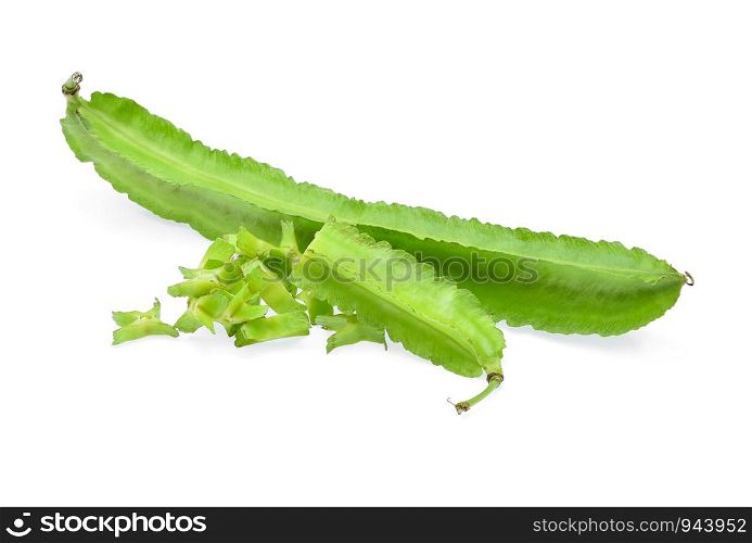 winged bean on white background