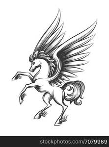 Winged horse engraving illustration. Winged horse engraving vector illustration. Hand drawn pegasus or flying mustang mascot sketch isolated on white background for tattoo