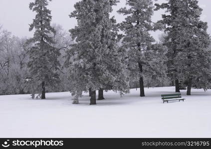 Winnipeg Manitoba, Canada Winter Scenes