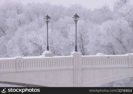 Winnipeg Manitoba, Canada Winter Scenes