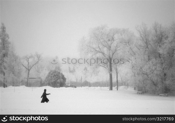 Winnipeg Manitoba, Canada Winter Scenes
