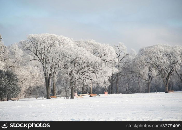 Winnipeg, Winter Frost