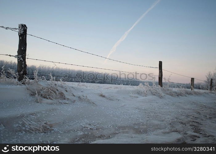 Winnipeg, Winter Frost