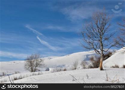 winter alpine landscape  covered with snow with trees under blue sky 