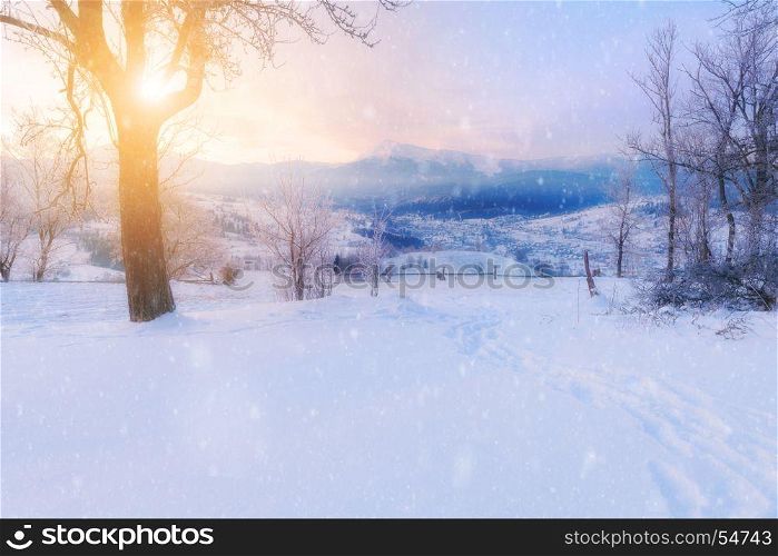Winter alpine mountain snowy landscape