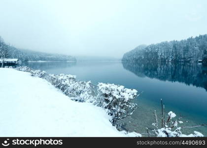 Winter Alpsee lake misty view (Bavaria, Germany)