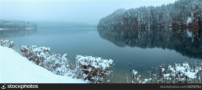 Winter Alpsee lake panorama with trees reflection. Cloudy view.
