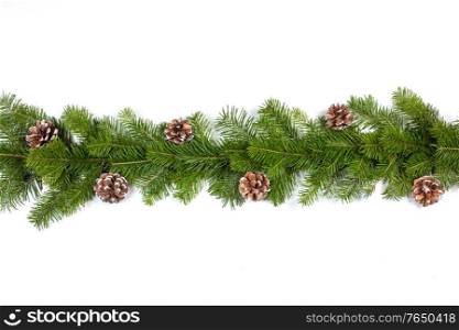 Winter and Christmas fir and cones composition isolated on white background with copy space. Christmas fir decoration on white