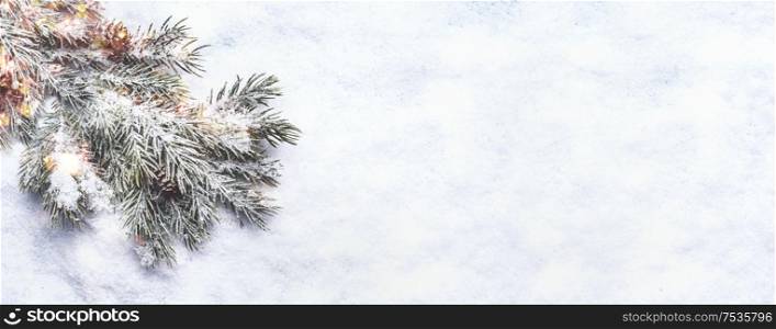 Winter and Christmas snow background. Branch of fir with cones is covered with snow. Top view. Copy space. Bokeh. Banner