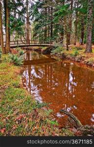 Winter Autumn Fall forest scene with bridge over reflective stream
