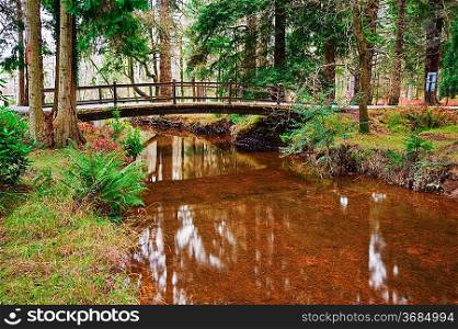 Winter Autumn Fall forest scene with bridge over reflective stream
