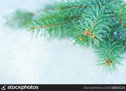 winter background,christmas tree on the snow
