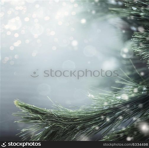 Winter background with fir branches and snow. Winter holidays and Christmas concept