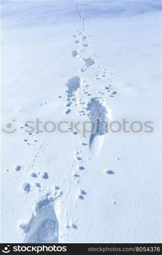 Winter background with footprints in the snow - Elements of a rich winter, a thick layer of snow with footsteps in it. Perfect for a winter scene.