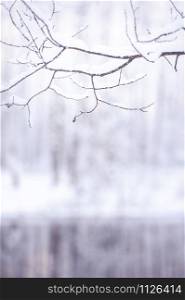Winter blurred background, with space for text. Vignette of branches in the snow and a lake in the ice. Beautiful Christmas background