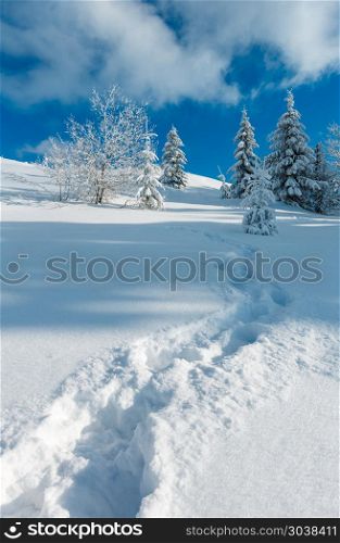 Winter calm mountain landscape with beautiful frosting trees and footpath track through snowdrifts on mountain slope (Carpathian Mountains, Ukraine). Winter mountain snowy landscape