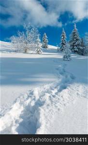Winter calm mountain landscape with beautiful frosting trees and footpath track through snowdrifts on mountain slope (Carpathian Mountains, Ukraine). Winter mountain snowy landscape