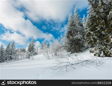 Winter calm mountain landscape with beautiful frosting trees and footpath track through snowdrifts on mountain slope  Carpathian Mountains, Ukraine .