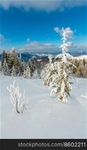 Winter calm mountain landscape with beautiful frosting trees and ski track through snowdrifts on mountain slope  Carpathian Mountains, Ukraine 