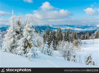 Winter calm mountain landscape with beautiful frosting trees and snowdrifts on slope  Carpathian Mountains, Ukraine, Trostian mount in far 
