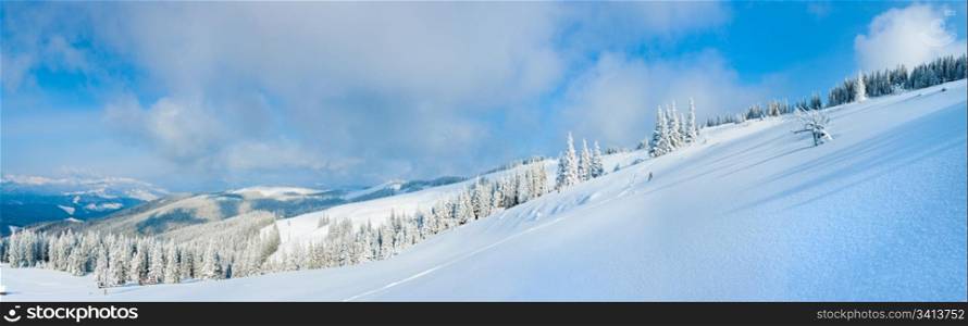 Winter calm mountain landscape with fir forest and sheds group on slope (Carpathian Mountains, Ukraine). Seven shots stitch image.