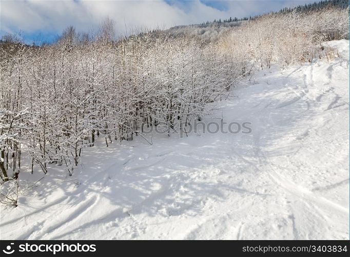 winter calm mountain landscape with rime and snow covered forest and ski slope