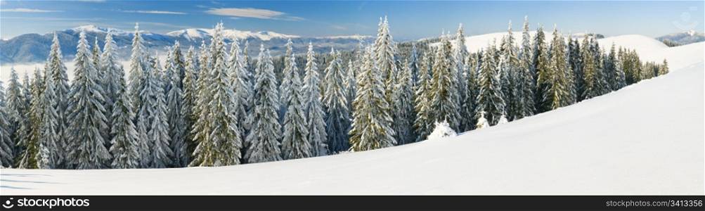 Winter calm mountain landscape with rime and snow covered spruce trees. With snowy copy space in right-down corner. Eight shots stitch image.