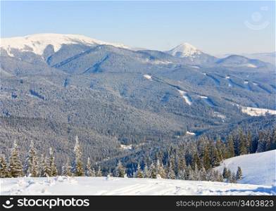 winter calm mountain landscape with rime and snow covered spruce trees and alpine skiing tracks cuttings in a forest