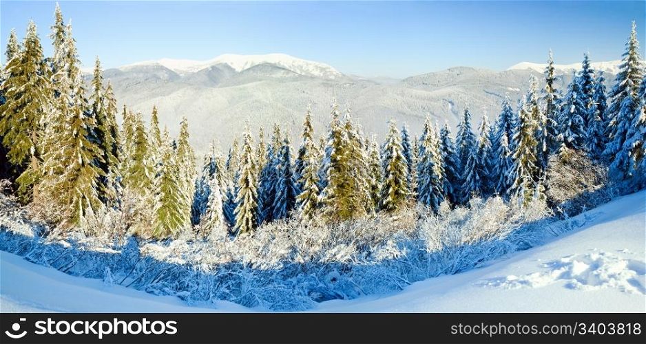 Winter calm mountain landscape with rime and snow covered spruce trees. Two shots stitch image.