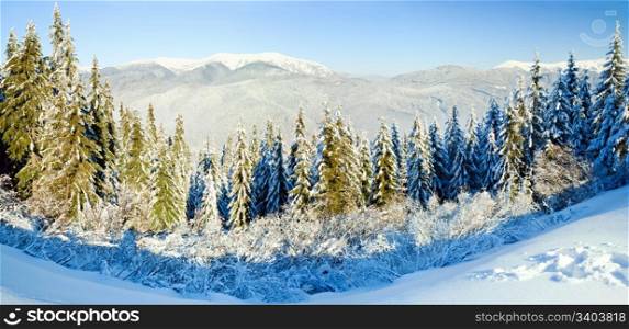 Winter calm mountain landscape with rime and snow covered spruce trees. Two shots stitch image.