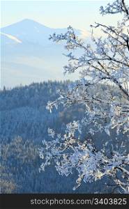 winter calm mountain landscape with rime and snow covered trees in front