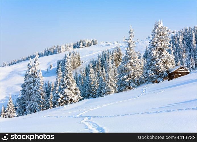 winter calm mountain landscape with shed (Kukol Mount, Carpathian Mountains, Ukraine)