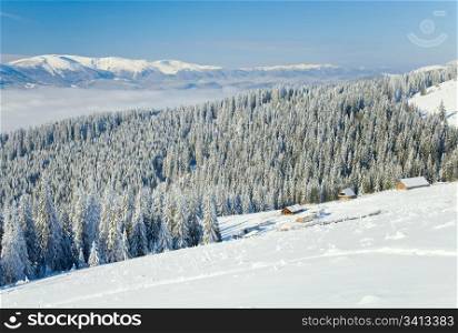 winter calm mountain landscape with some snow covered stems on forefront and sheds group behind (view from Bukovel ski resort (Ukraine) to Svydovets ridge)