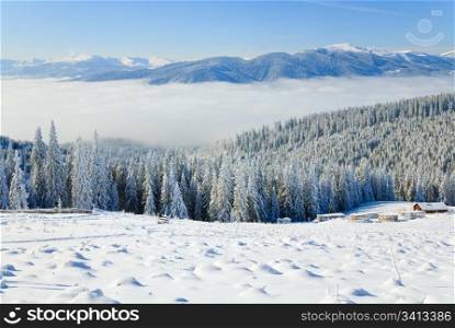 winter calm mountain landscape with some snow covered stems on forefront and sheds group behind (view from Bukovel ski resort (Ukraine) to Svydovets ridge)