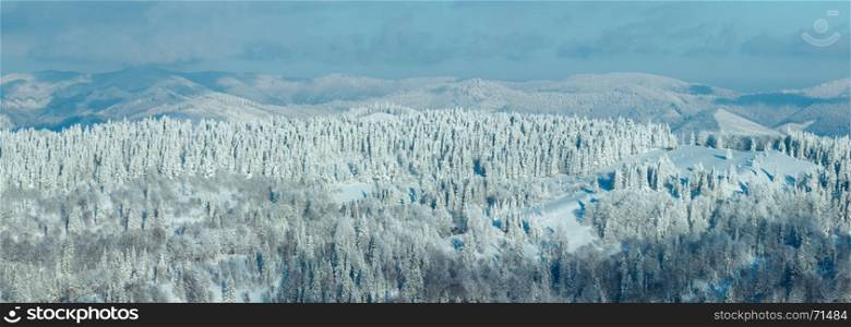 Winter Carpathian Mountains landscape with fir forest on slopes (Skole, Lviv Oblast, Ukraine). Two shots stitch high-resolution panorama.