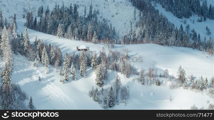 Winter Carpathian Mountains landscape with fir trees on slopes (Skole, Lviv Oblast, Ukraine).