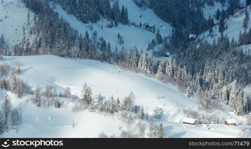 Winter Carpathian Mountains landscape with fir trees on slopes (Skole, Lviv Oblast, Ukraine).