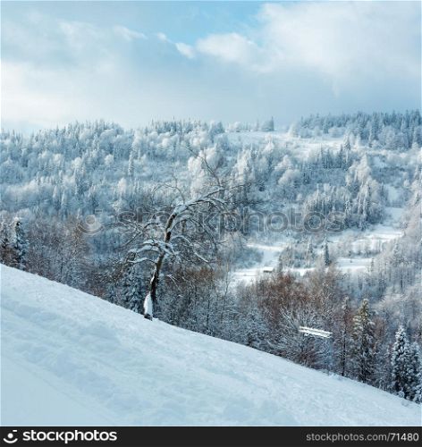 Winter Carpathian Mountains landscape with fir trees on slopes (Skole, Lviv Oblast, Ukraine). Two shots stitch image.