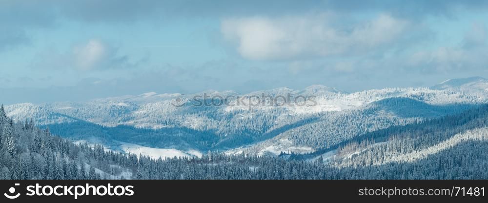 Winter Carpathian Mountains panorama with fir forest on slopes (Skole, Lviv Oblast, Ukraine). Two shots stitch high-resolution panorama.