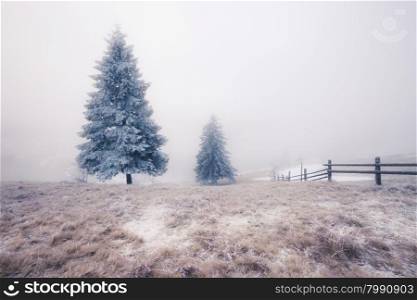 Winter Carpathian mountains, Ukraine
