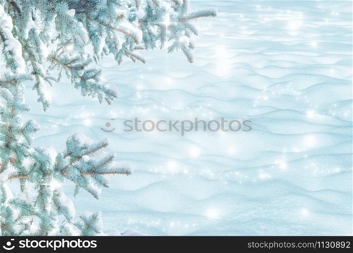 Winter Christmas scenic landscape on frosty sunny day with border of fir branches covered with white snow close-up and snowdrifts. Snowy backdrop in forest on nature outdoors, with copy-space, toned in blue