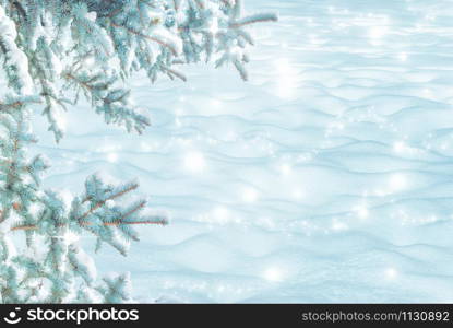 Winter Christmas scenic landscape on frosty sunny day with border of fir branches covered with white snow close-up and snowdrifts. Snowy backdrop in forest on nature outdoors, with copy-space, toned in blue