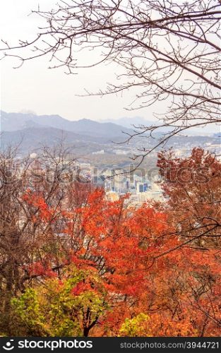 Winter City At Korea View