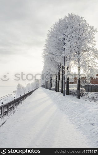 Winter cityscape with snow covered trees, outdoors shot