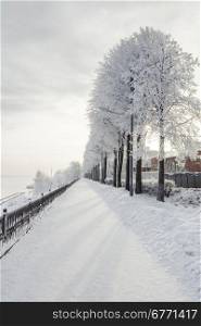 Winter cityscape with snow covered trees, outdoors shot