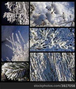 Winter collections of snowy background
